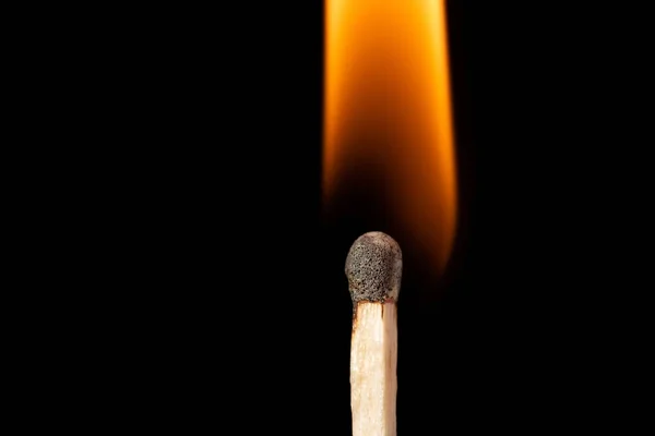 Fire Burning Matchstick Macro Shot Isolated Photo Black Background Close — 스톡 사진