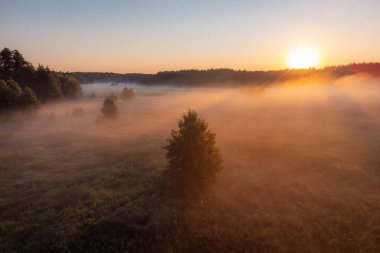 Bright morning with light fog in the valley near the river. Vibrant landscape of nature at sunrise