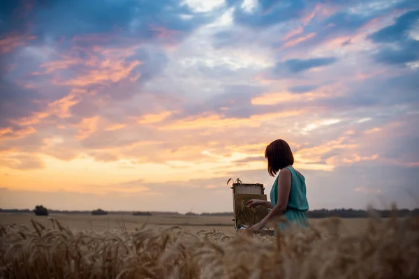 Beautiful Sunset Wheat Field Bright Colorful Clouds Calm Romantic Atmosphere — Fotografia de Stock