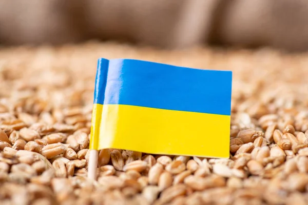 Flag Ukraine Wheat Harvest Wheat Ukraine Concept — Photo