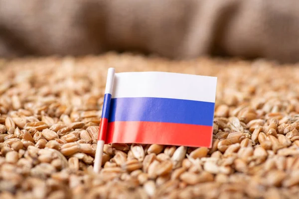Flag Russian Federation Wheat Harvest Wheat Russia Concept — Stockfoto