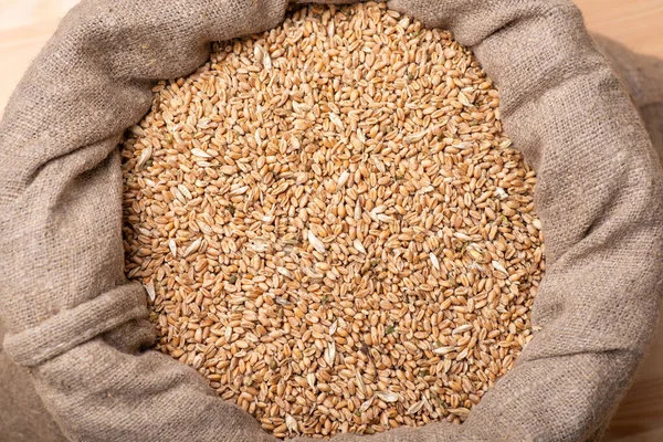 Full Sack Wheat Linen Natural Sack Harvested Wheat — Stock Photo, Image