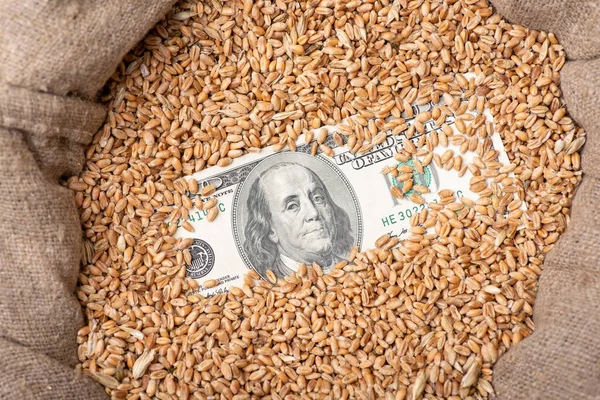 Full Sack Wheat 100 Dollars Bill Concept Harvest Price Wheat — ストック写真