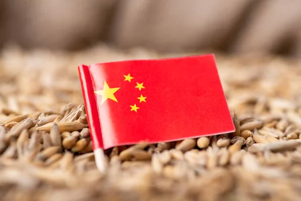 Close Shot Flag China Grain Oat Harvest Oats China — Stock fotografie