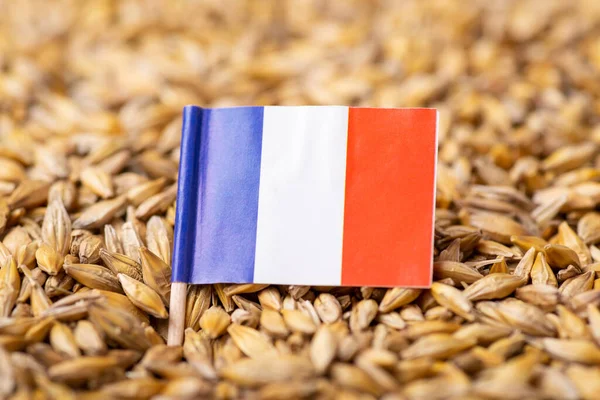 Flag France Barley Grain Concept Growing Barley France — 图库照片