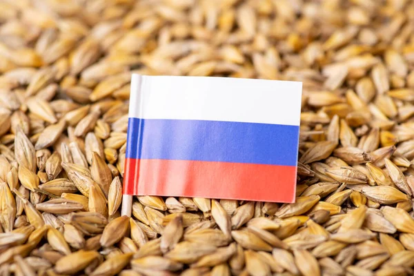 Flag Russia Barley Grain Concept Growing Barley Russian Federation — Stockfoto