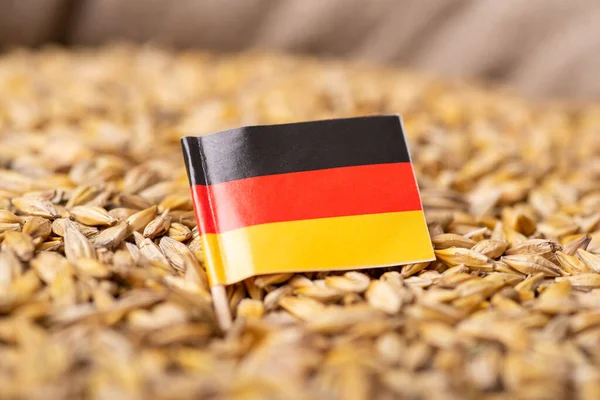 Flag Germany Barley Grain Concept Growing Barley Germany — Fotografia de Stock