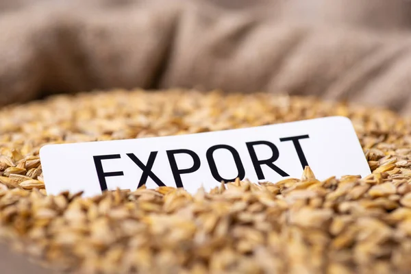 White Paper Inscription Export Barley Grain Selling Barley Abroad Concept — 图库照片