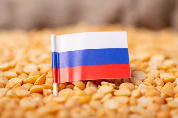 Flag Russia Yellow Dried Peas Concept Growing Pea Russia — Stockfoto
