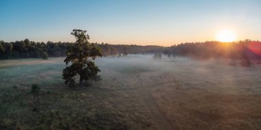 Morning sun in the valley. Light morning fog on the ground