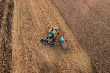 Aerial view of combine loading gathered grain to the cargo truck. Drone photo of agricultural work in the fields