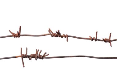 Old rusty barbed wire isolated against white background. Captivity, freedom concept