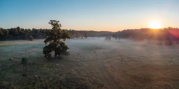 Morning sun in the valley. Light morning fog on the ground