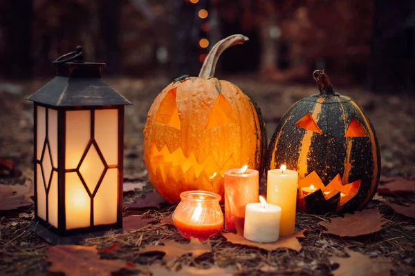 Spooky photo of Halloween decorations in forest in the evening. Burning candles, lantern, pumpkins on foliage in forest