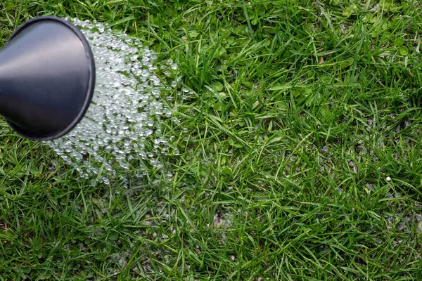 Watering grass with watering can. Green fresh grass background