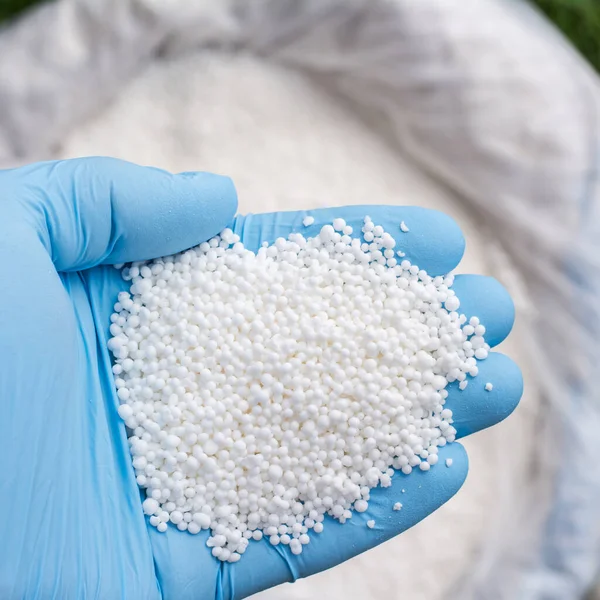 Hand Blue Glove Holds White Fertilizer Plants Big Bag Chemical — Stock Photo, Image