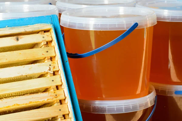 Fresh golden linden honey in plastic buckets after Spring harvest near the blue hive with honey frames