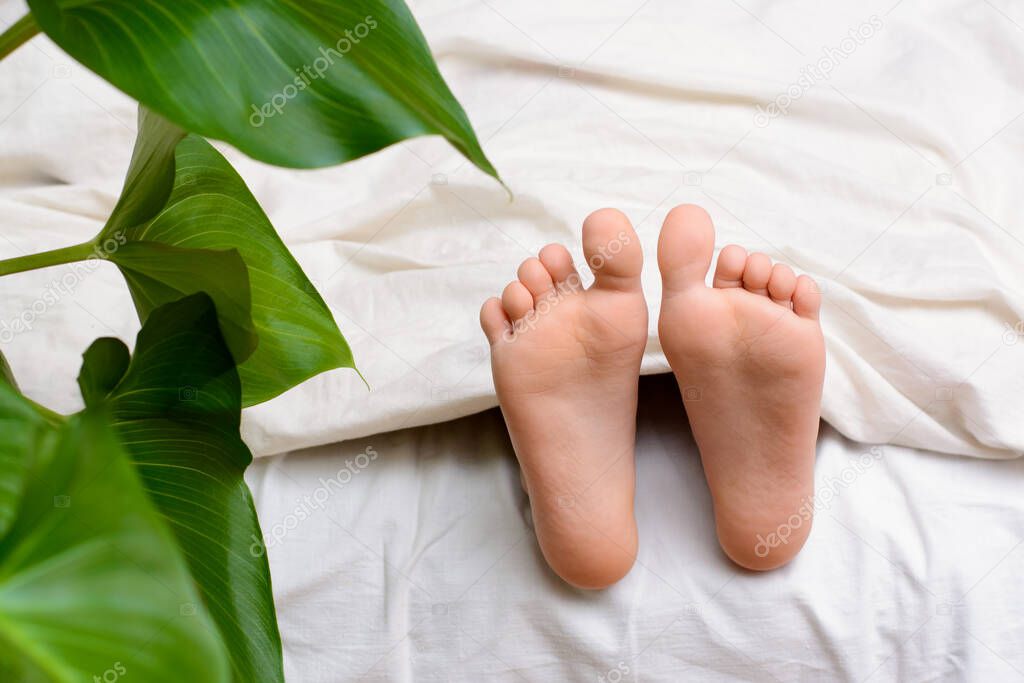 Little feets are visible from under the blanket. Green pot flower near the bed in the room. Concept of freshness, purity