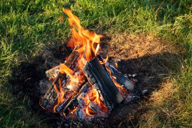 Yazın gün batımında açık havada şenlik ateşinin güzel alevleri. Doğada yanmış odun çemberi; hafta sonları kamp yapmak..