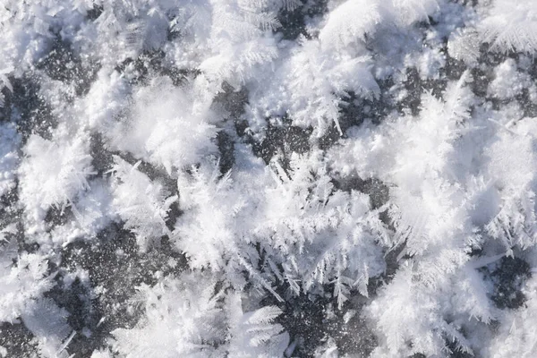 Gelo Rio Congelado Dia Ensolarado Belas Texturas Geada Natural Livre — Fotografia de Stock