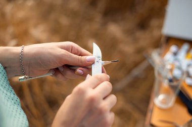 Sanatçı resim çizmeden önce kalemini keskinleştiriyor. Ressam doğanın güzelliğini resmetmeye hazırlanıyor, tarlada buğday kulakları boyuyor.