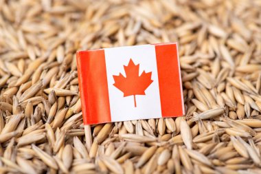 Yulaf ezmesi üstünde Kanada bayrağı. Kanada 'da yulaf yetiştirme kavramı
