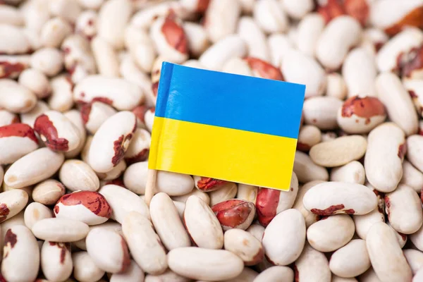 Haricot Ukrayna Bayrağının Yakın Çekimi Kayısı Ticareti Ukrayna Fasulye Yetiştirme — Stok fotoğraf