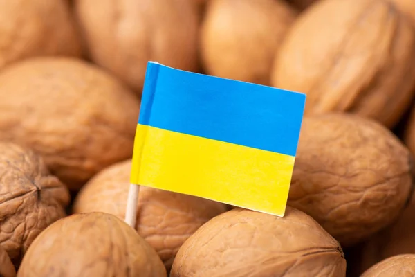 Cevizli Ukrayna Bayrağı Ukrayna Dan Ceviz Ithal Etme Kavramı — Stok fotoğraf