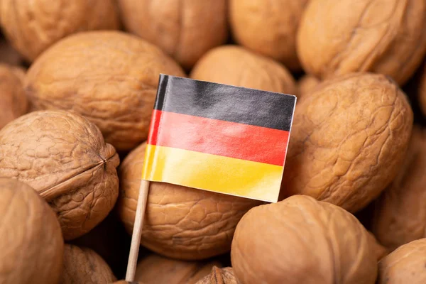 Прапор Німеччини Горіхи Торгівля Горіхами Яка Росте Німеччині — стокове фото