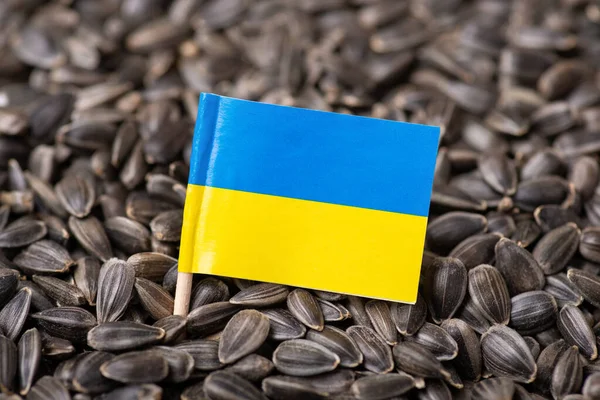 Ayçiçeği Tohumları Üzerinde Ukrayna Bayrağı Ukrayna Dan Ayçiçeği Tohumları Ihraç — Stok fotoğraf