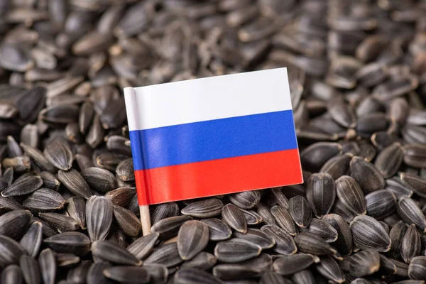 Ryssland Flagga Solrosfrön Begreppet Export Solrosfrön Från Ryssland — Stockfoto