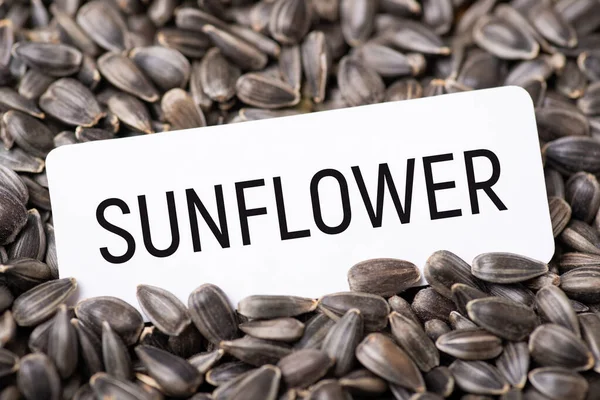 White Paper Inscription Sunflower Sunflower Grain Concept Agribusiness Growing Sunflowers — Stock Photo, Image