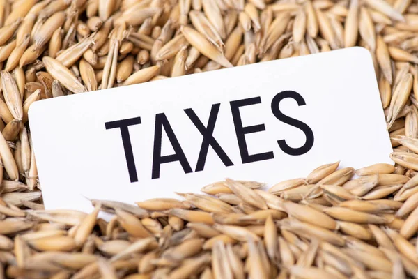 Livro Branco Com Inscrição Impostos Sobre Aveia Conceito Impostos Elevados — Fotografia de Stock