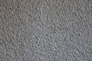 white chickens on green grass in a private yard