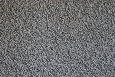 white chickens on green grass in a private yard