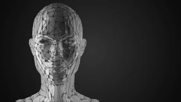 Απεικόνιση Του Ανθρώπινου Κεφαλιού Πρόσωπο Στυλιζαρισμένο Γυναικείο Πορτρέτο Wireframe — Φωτογραφία Αρχείου