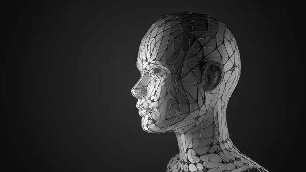 Ανθρώπινη Κεφαλή Εικόνα Στυλιζαρισμένο Γυναικείο Πορτρέτο Wireframe — Φωτογραφία Αρχείου