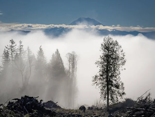 Vista Una Fuerte Inversión Frente Monte Rainier Disparada Desde Tiger — Foto de Stock