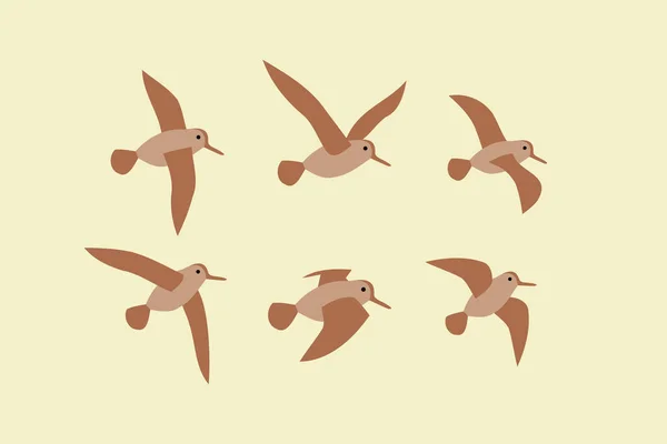 Latający Snajper Ptak Zwierzęta Design Ikona Wektor Nowoczesna Ilustracja — Wektor stockowy