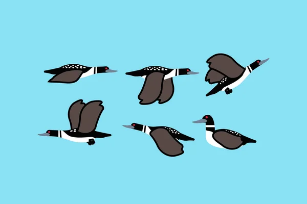 Duck Loon Bird Design Vector Flat Modern Illustration — Wektor stockowy