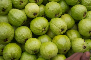 Guava is a nutritious fruit.