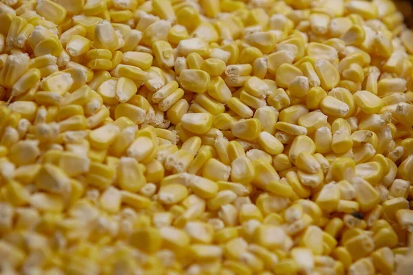 Yellow seeds of corn. It is very healthy food.
