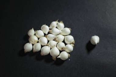 A clove of garlic is very useful in preventing bacteria inside the body and controlling high blood pressure.