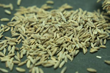 Kimyon yemek pişirmek için gerekli bir malzemedir.