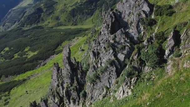 Widok z powietrza na skalisty szczyt góry Spitz w Karpatach, krajobraz letnich gór. — Wideo stockowe