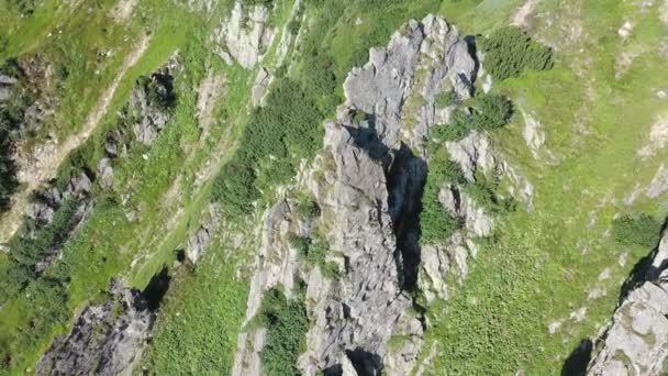 Αεροφωτογραφία της βραχώδους κορυφής του βουνού Spitz στα Καρπάθια βουνά, τοπίο των καλοκαιρινών βουνών. — Αρχείο Βίντεο