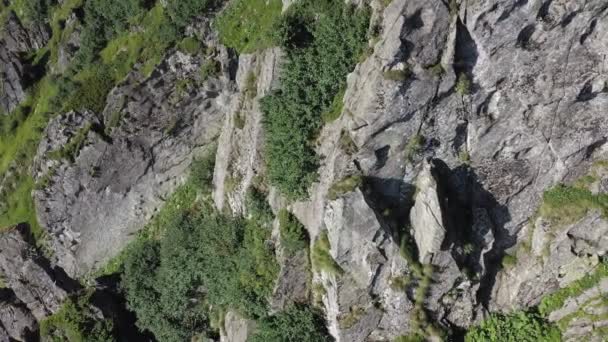 カルパチア山脈のスピッツ山の岩のピークの空中ビュー 夏の山の風景 — ストック動画