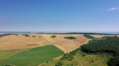 Birçok biçerdöver, ekinleri tarımsal alan havası görünümünde hasat eder..