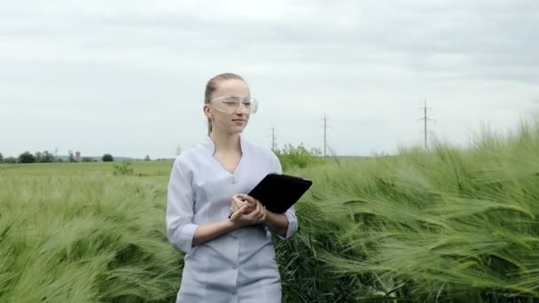 身穿白色浴衣的年轻女农民正在绿色麦田的一块石碑上检查收获进度 小麦的新品种正在生长 农业和农场概念 — 图库视频影像