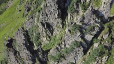 Karpatya dağlarındaki Spitz dağının kayalık zirvesi, yaz dağlarının manzarası..